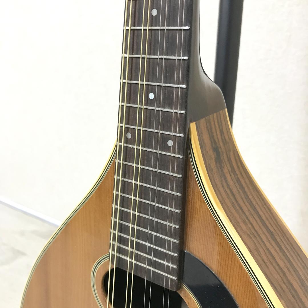 希少/良品】JUMBO 田原楽器 フラットマンドリン Martin Style - メルカリ