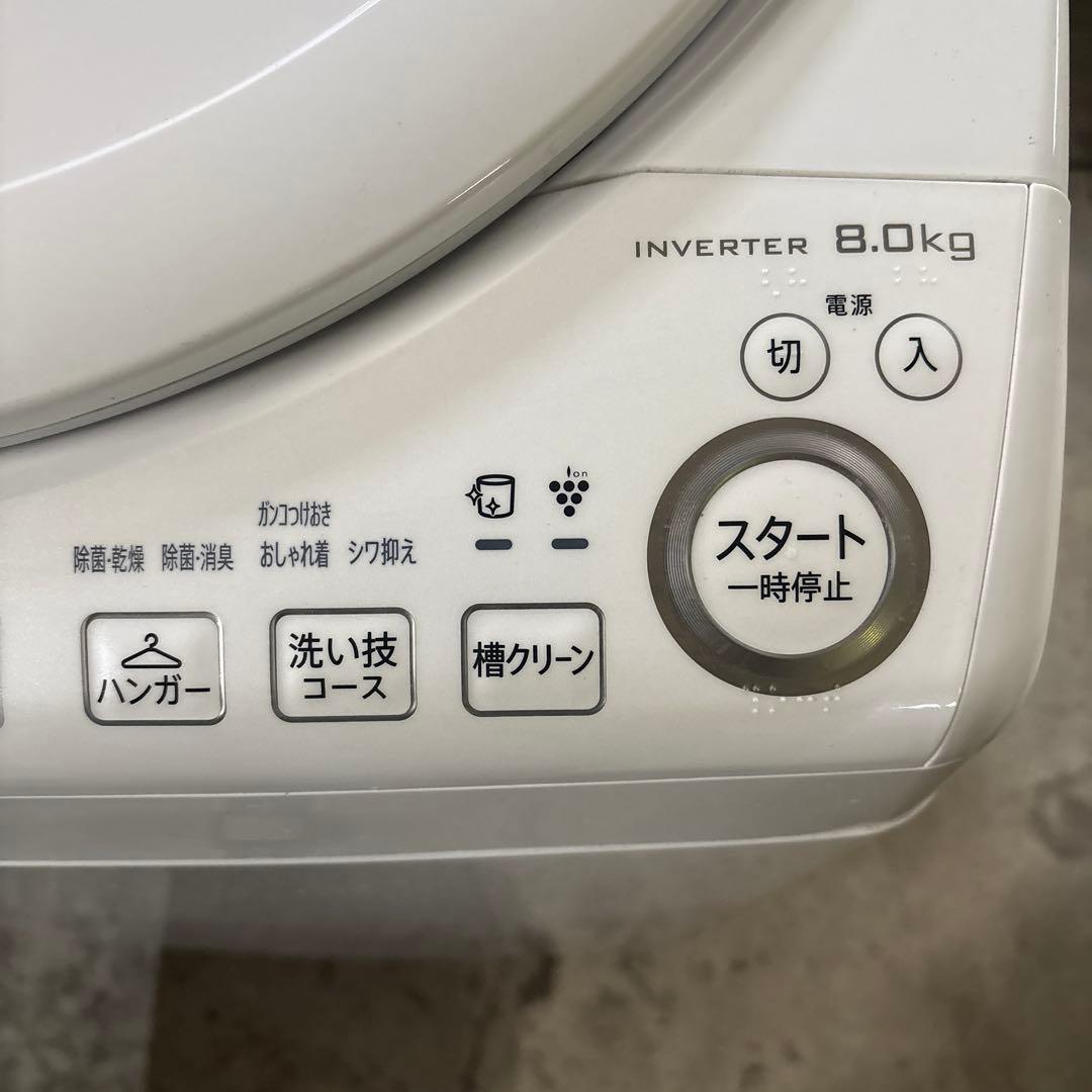 SHARP ES-TX8G-W 電気洗濯機 8.0kg 2023年製　美品