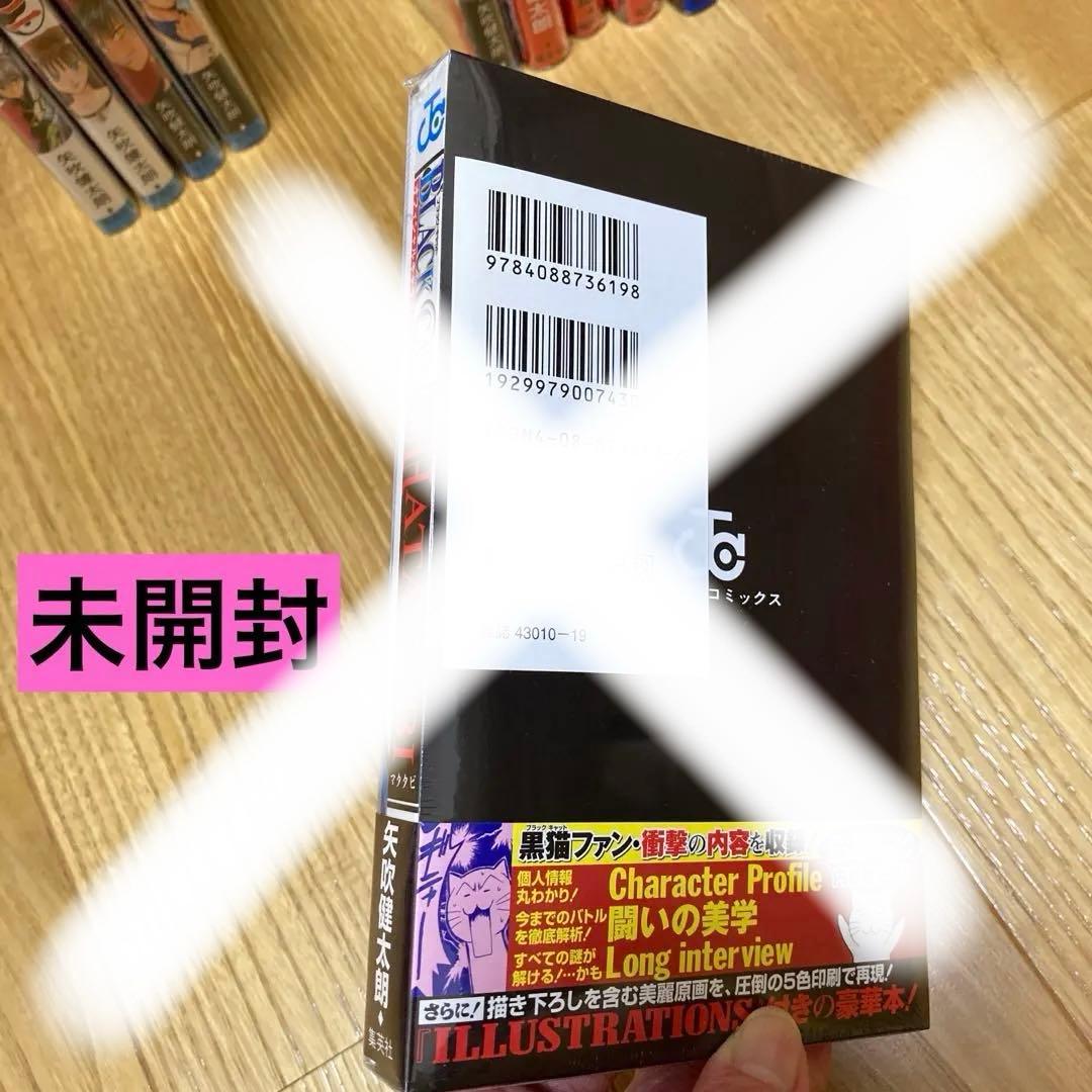 邪馬台幻想記 ブラックキャット 矢吹健太朗 初版 帯付き - メルカリ