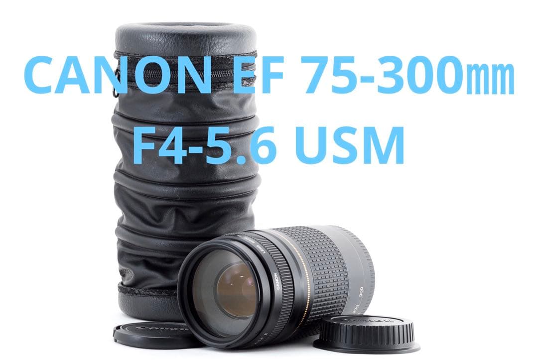 ☆純正☆大望遠レンズ☆キャノン　Canon EF75-300 USM キヤノン（Canon） Canon EF 75-300mm f/4-5.6 III 美品 EFマウント
