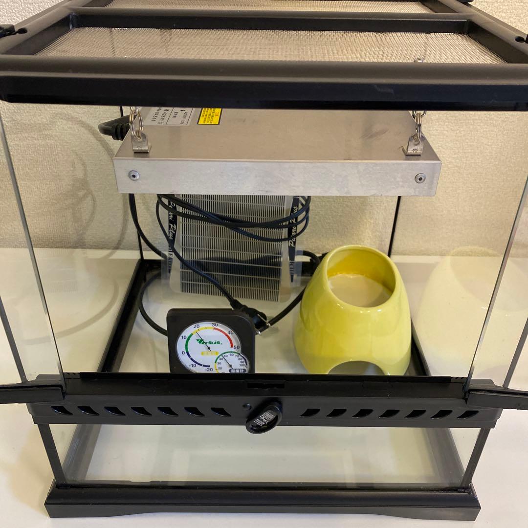 グラステラリウム3030 ③ 飼育一式セット 爬虫類 爬虫類 3030 飼育ケース グラステラリウム」の人気商品一覧 | 安い商品