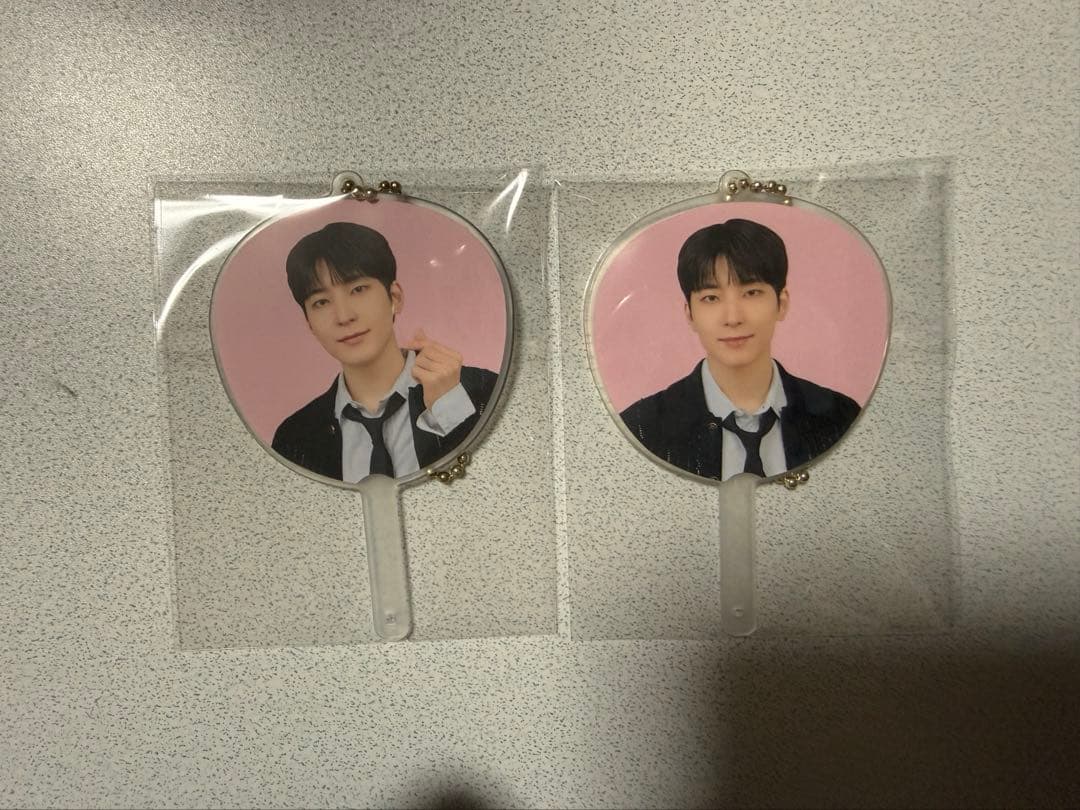 seventeen holiday ミニピケット ミニうちわ ウォヌ - メルカリ