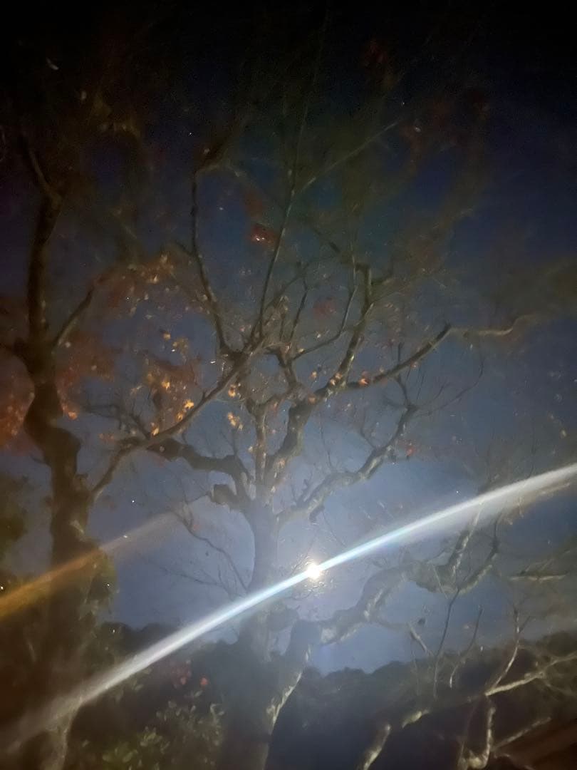 専用 Norden 901 / ノーデン 901 カスタム パーツ