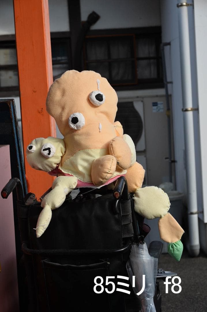 ニコン Nikon AF NIKKOR 28-105mm F3.5-4.5 D