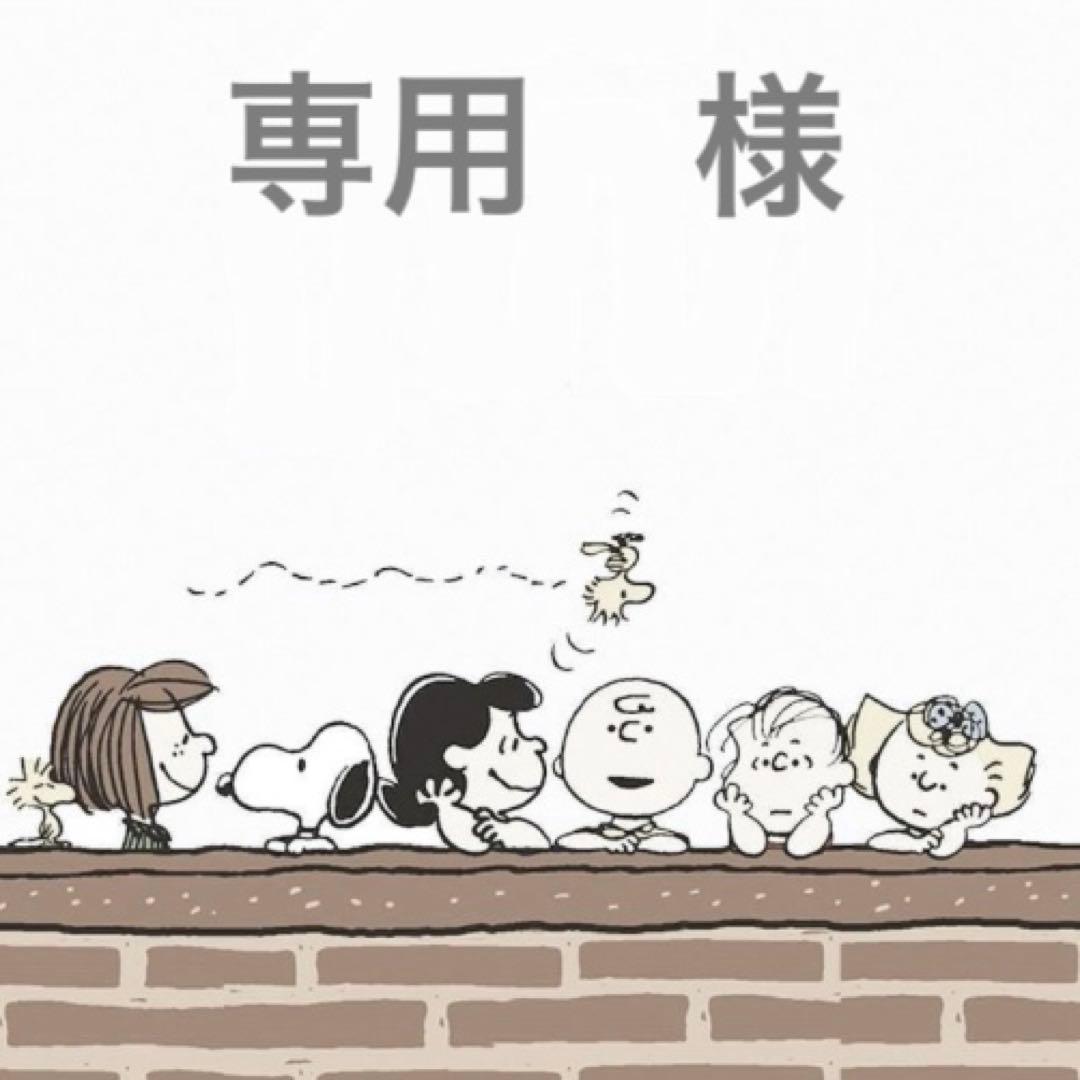 専用　様 Samurai fusion】 サムライダーツ フュージョン ヘリカル NX エヌ