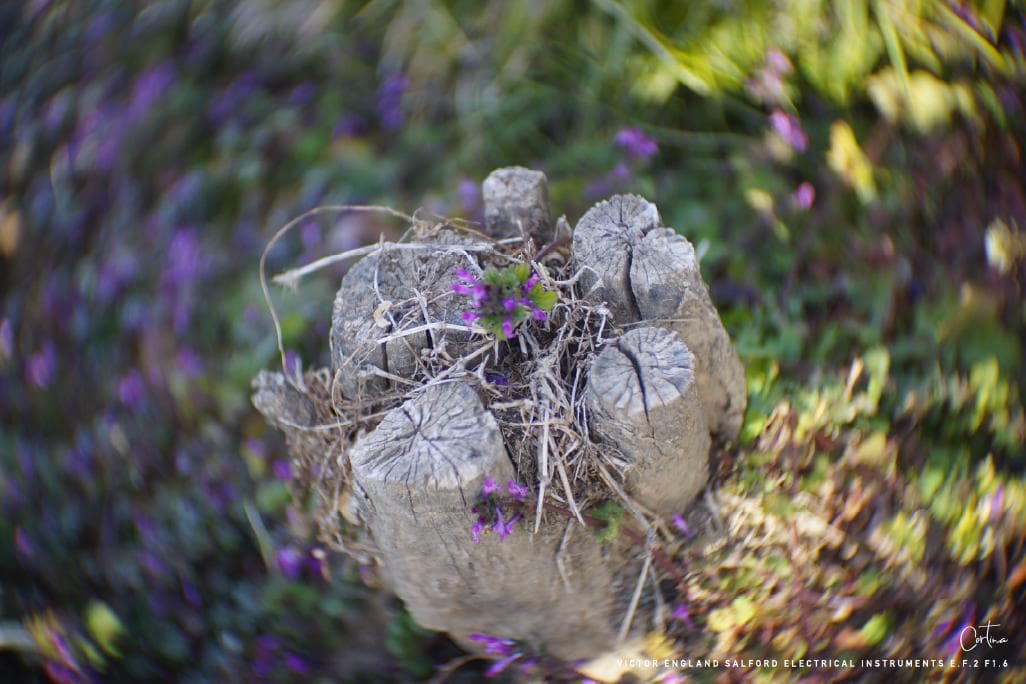M42マウント VICTOR ENGLAND E.F.2 F1.6 ぐるぐるボケ