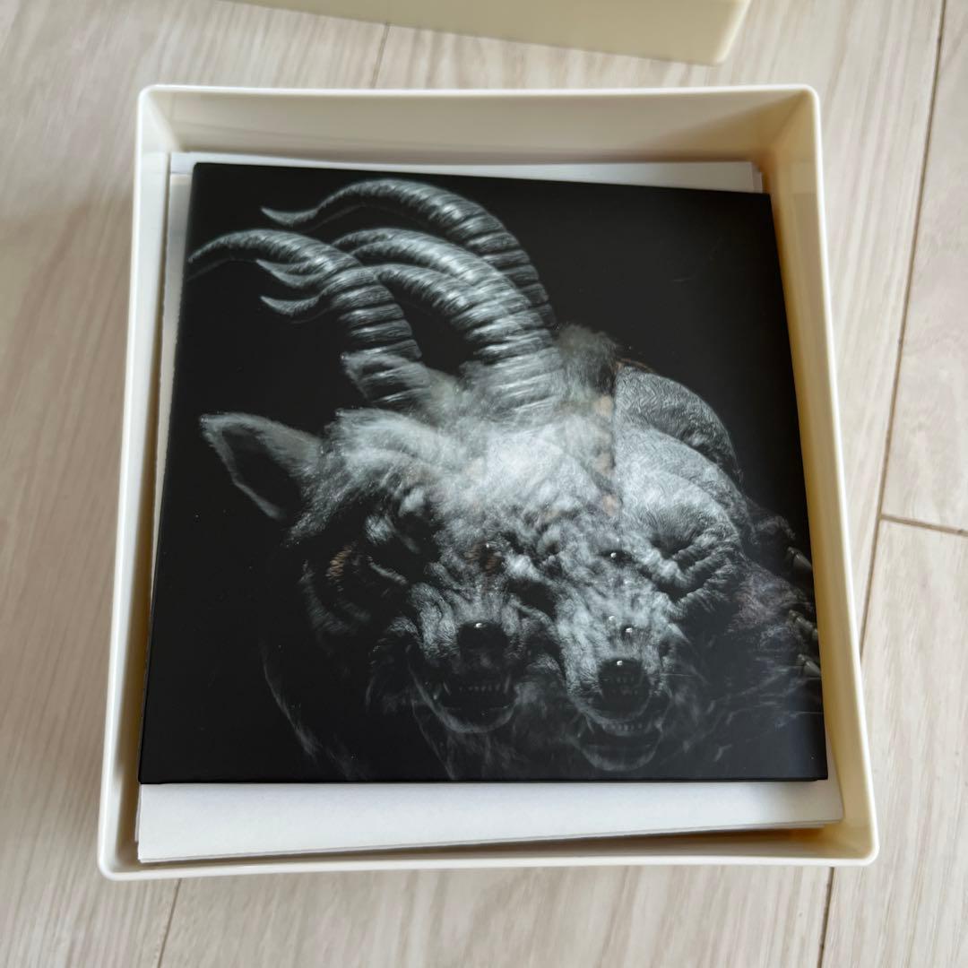 THE GAZETTE BEAUTIFUL DEFORMITY