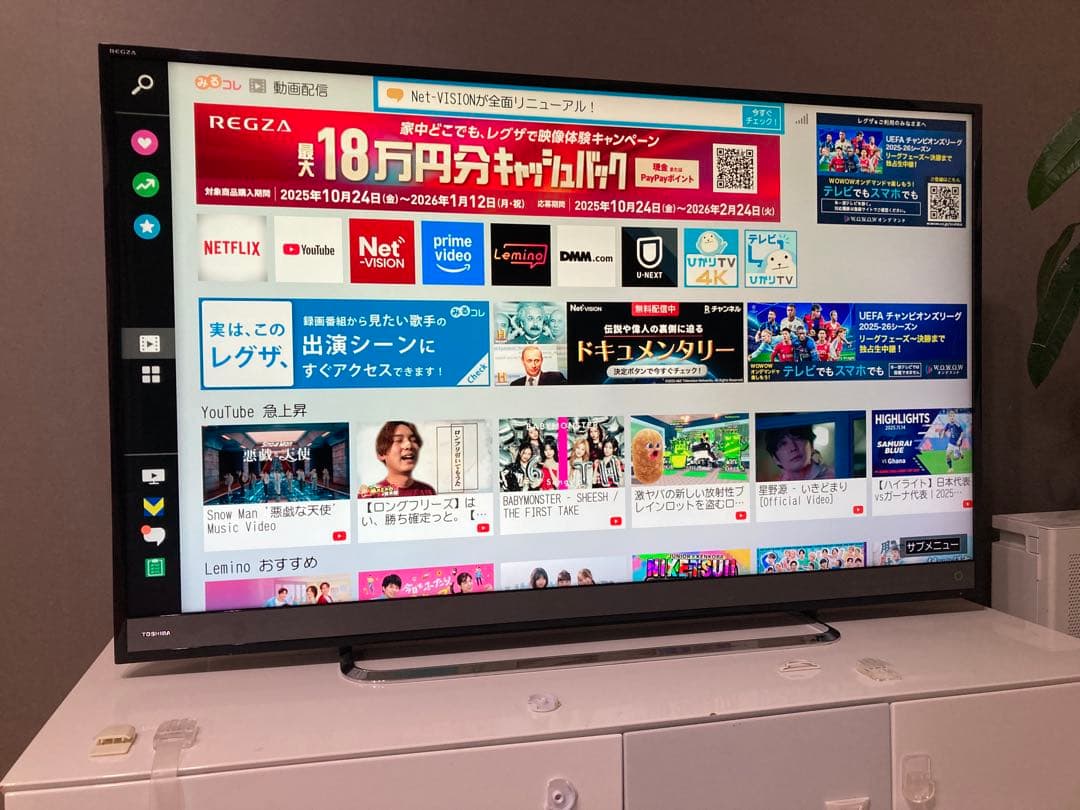 《取説あり‼︎》REGZA 50v型 4K 液晶テレビ　50M510X 18年製