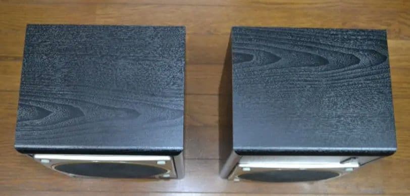 【美品】テクニクス SB-RX30（動作確認済みですが訳アリ）