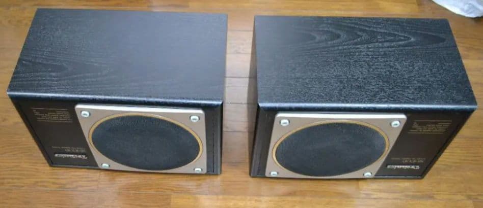 【美品】テクニクス SB-RX30（動作確認済みですが訳アリ）