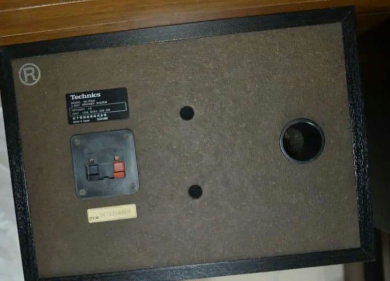 【美品】テクニクス SB-RX30（動作確認済みですが訳アリ）