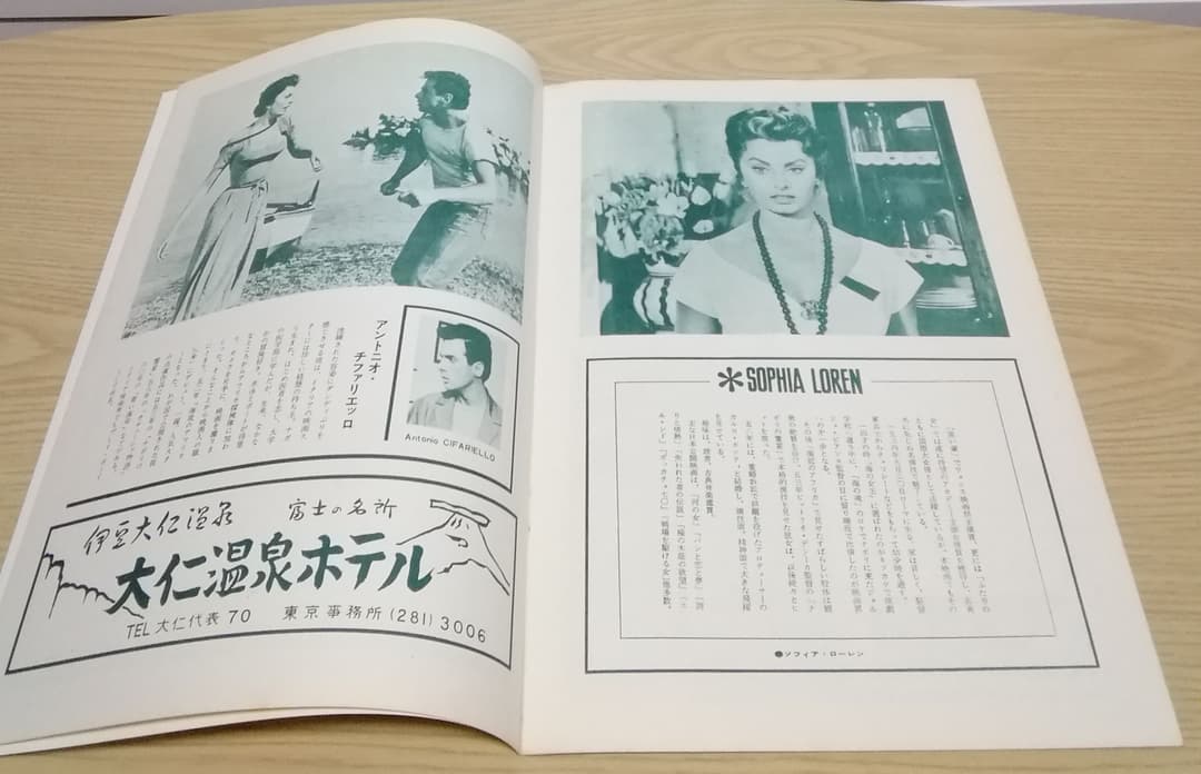 レア)映画パンフレット 「殿方ごろし」 ソフィア・ローレン - メルカリ