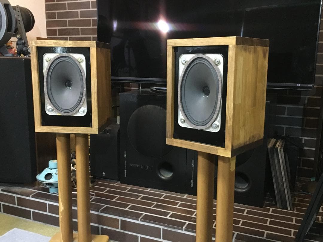 Telefunken 究極システム プロ用最高峰 シングルフルレンジの凄み