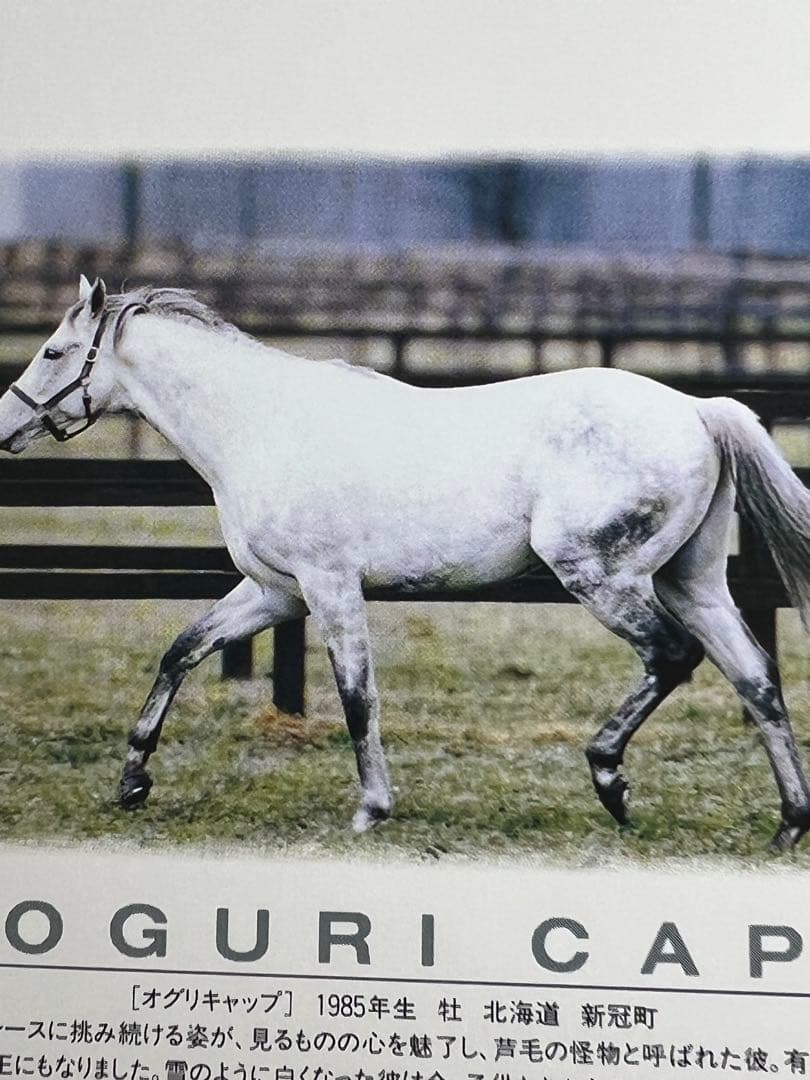 日本の名馬 オグリキャップ 有馬記念2勝 芦毛の怪物 - メルカリ