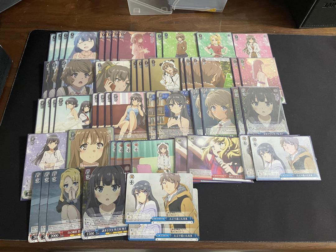 ヴァイス　青ブタ Amazon.co.jp: 青ブタ 泡沫の存在桜島麻衣 SSP サイン入り カード