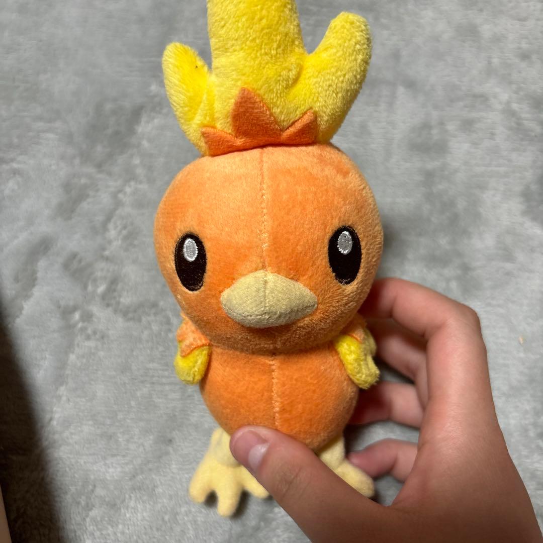 最終値下げ！！ポケモン アチャモ ぬいぐるみ 約15cm - メルカリ