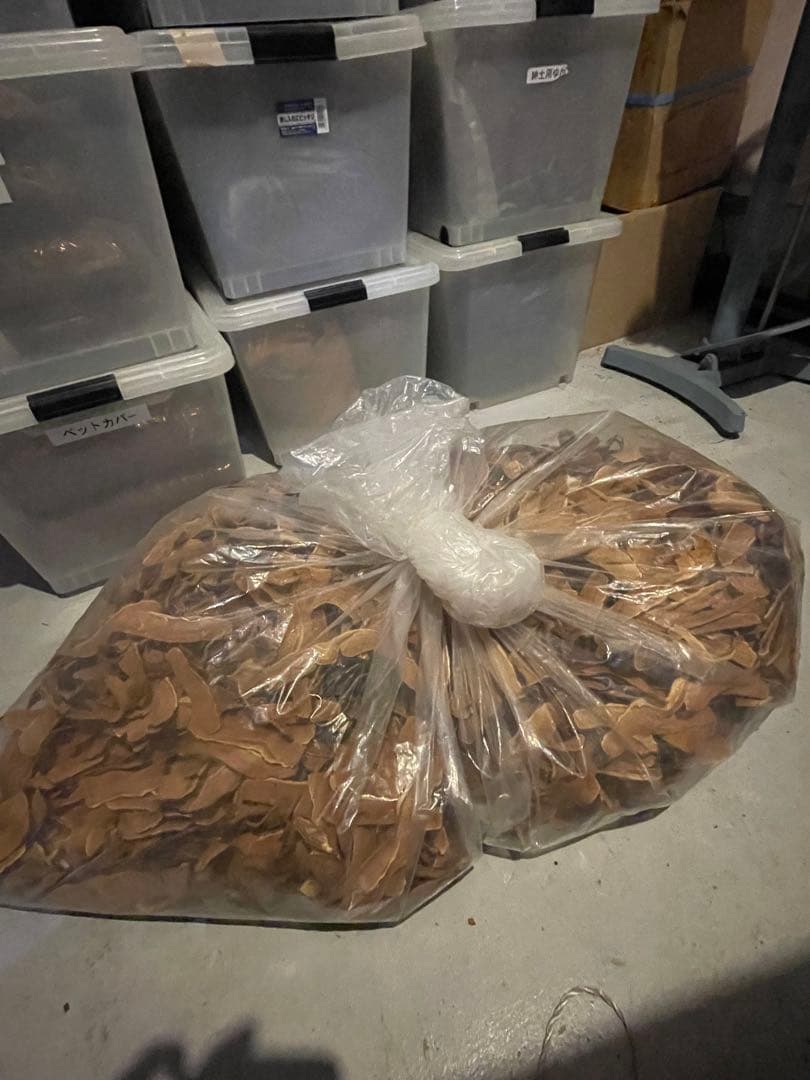 霊芝　薬膳 霊芝 薬膳 霊芝薬膳茶のお店 | 東洋医学サロンMerci