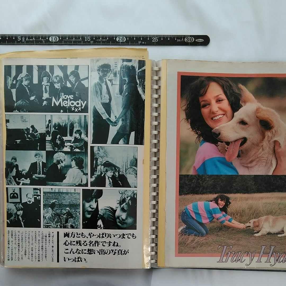 小さな恋のメロディ　切り抜き