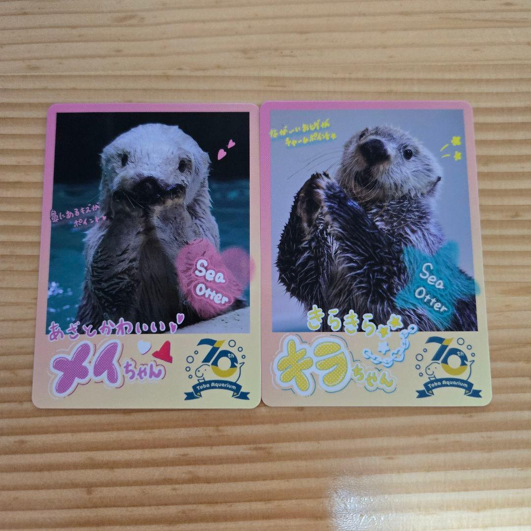 鳥羽水族館 とばすい コレカ コレクションカード ラッコ キラ メイ