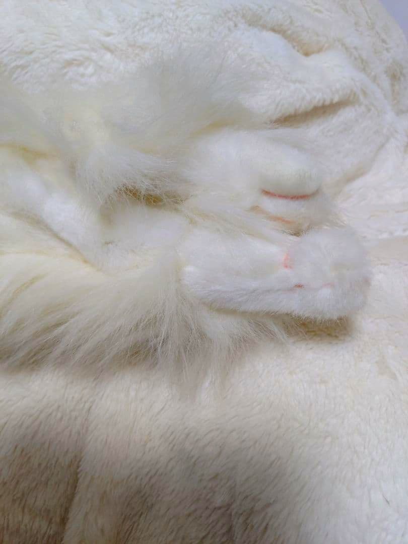 ペルシャ猫 入手困難 ヴィンテージ 廃盤 ペルシャ ねこ 希少 アンティーク