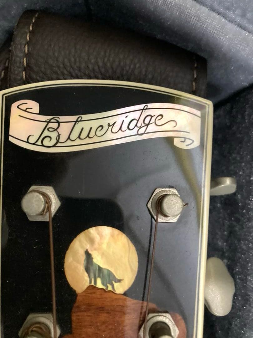 超レア、ヴィンテージギター ブルーリッジの限定モデル「BR-2060」価値