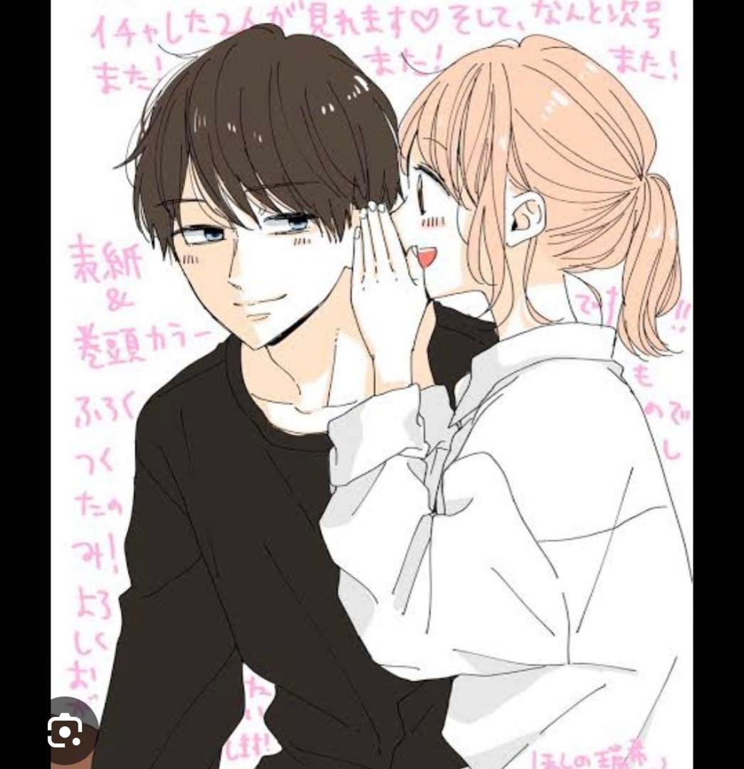 【meru_wig オーダー 新規一時停止】 参考資料※買えません