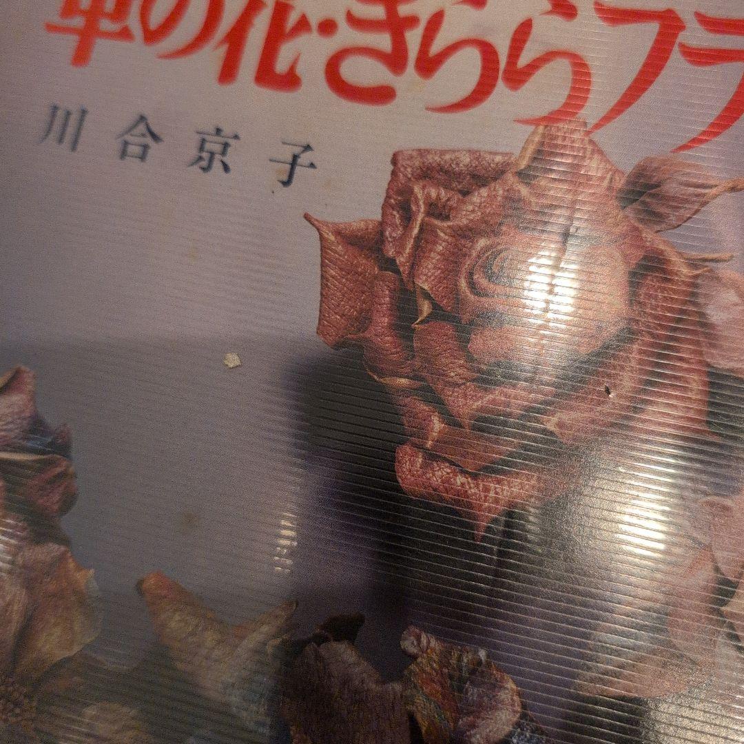 革の花・きららフラワー 川合京子著