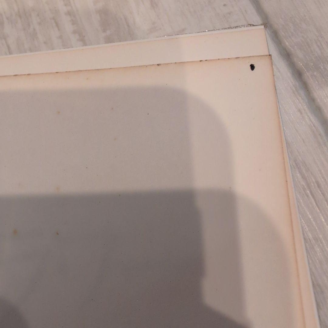 革の花・きららフラワー 川合京子著