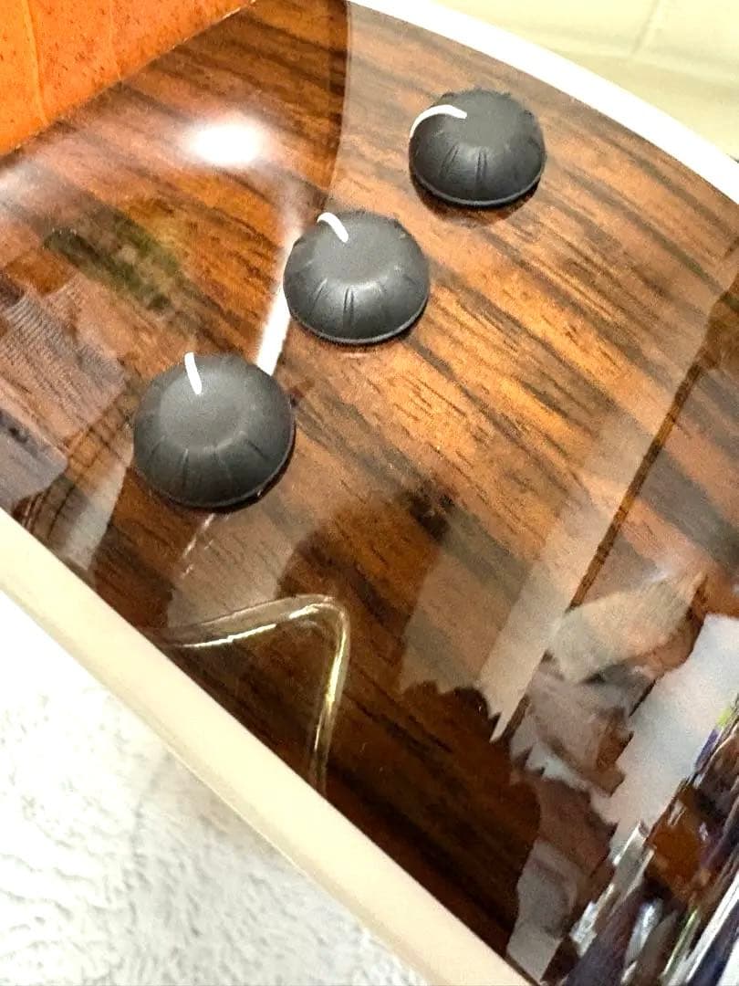 Taylorエレアコハードケース付き 412cerosewood v-class