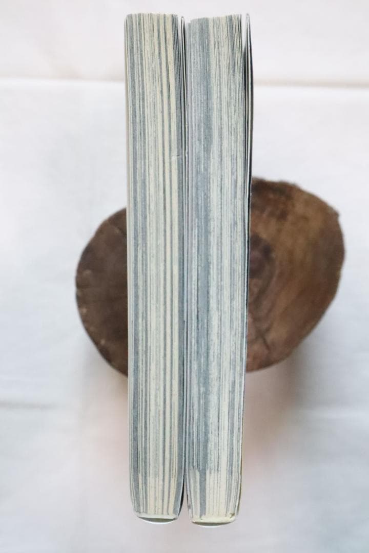 デビルメイクライ3 全2巻 茶屋町勝呂著　/全巻セット