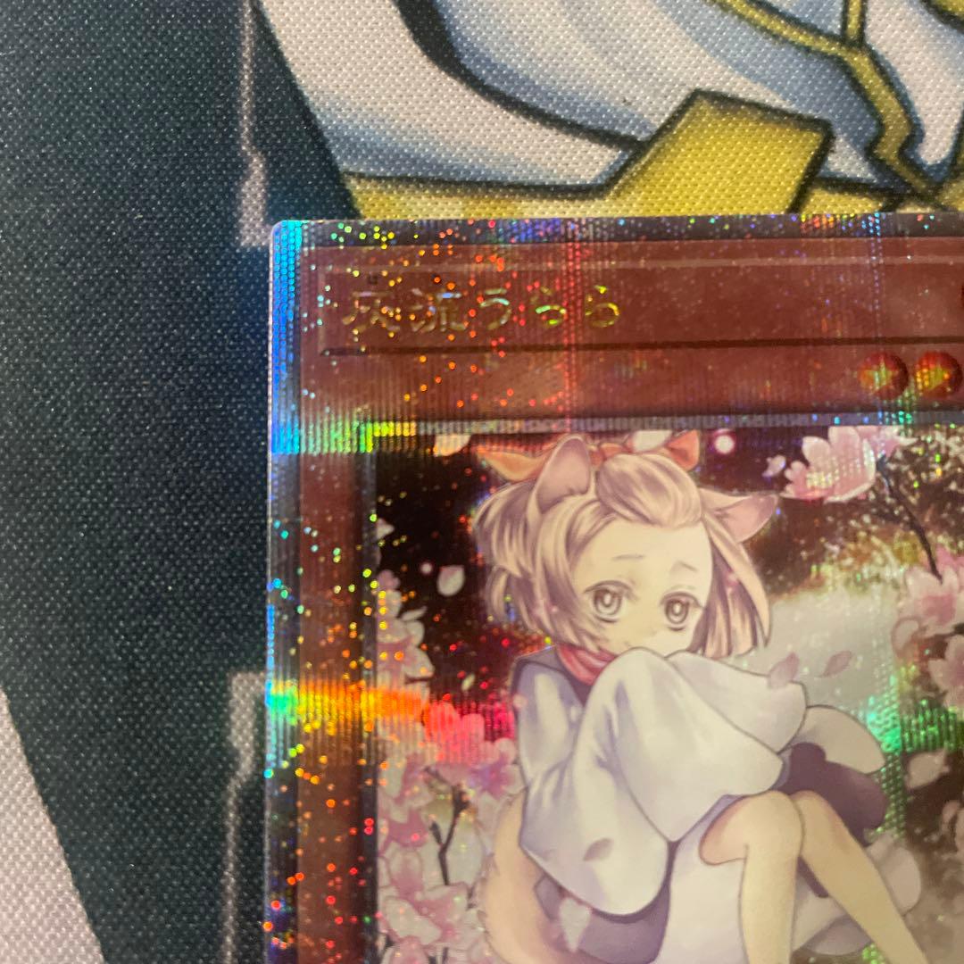 QCAC-JP050 灰流うらら 絵違い クオシク 25th - メルカリ