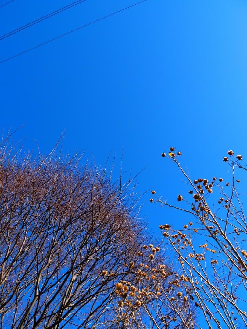 レンズ(ズーム) LUMIX G VARIO 14-140mm F3.5-5.6 II