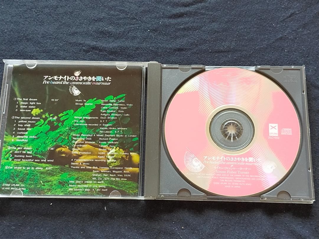 アンモナイトのささやきを聞いた サイモン・フィッシャー・ターナー