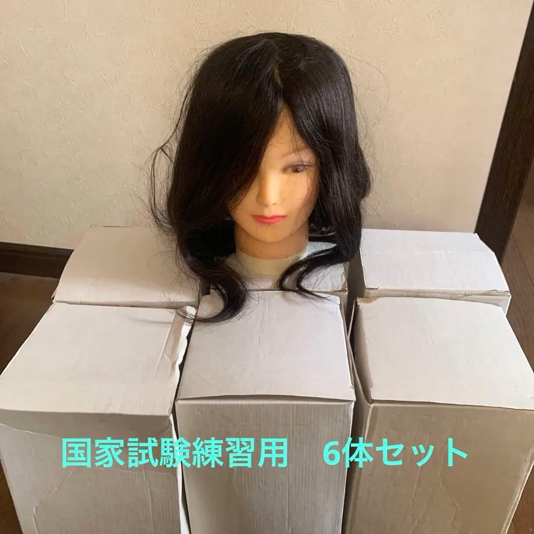 カットウィッグ　美容師試験 カットウィッグ 美容師 マイスター 国家試験 練習 美容師国家試験 練習