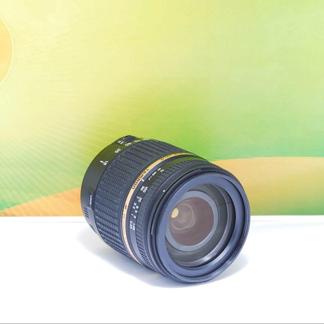 美品✨TAMRON AF 18-250mm F3.5-6.3 A18 Canon