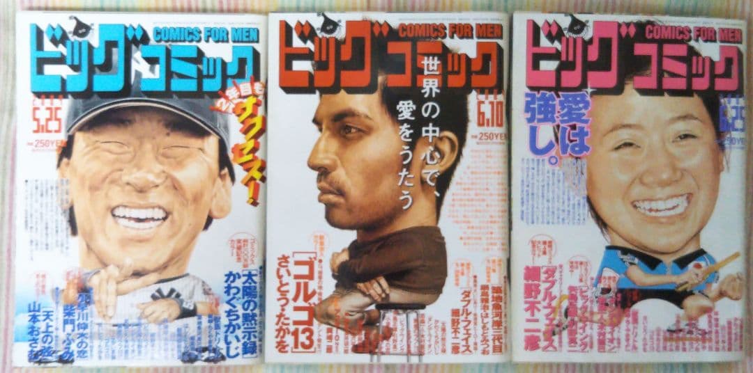 ビッグコミック 2004年 全24巻セット