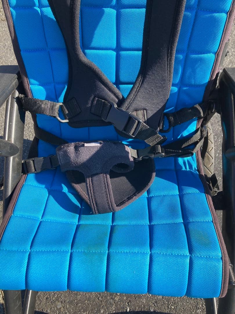 子ども福祉用バギー クリケット（5点式安全ベルト付き） - メルカリ