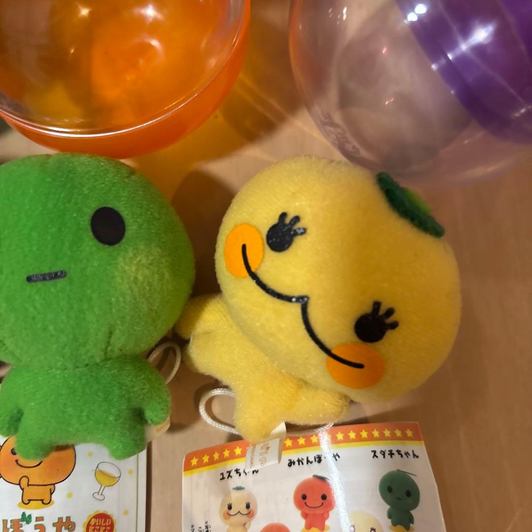 みかんぼうや 当時 ガチャガチャ ストラップ ぬいぐるみマスコット