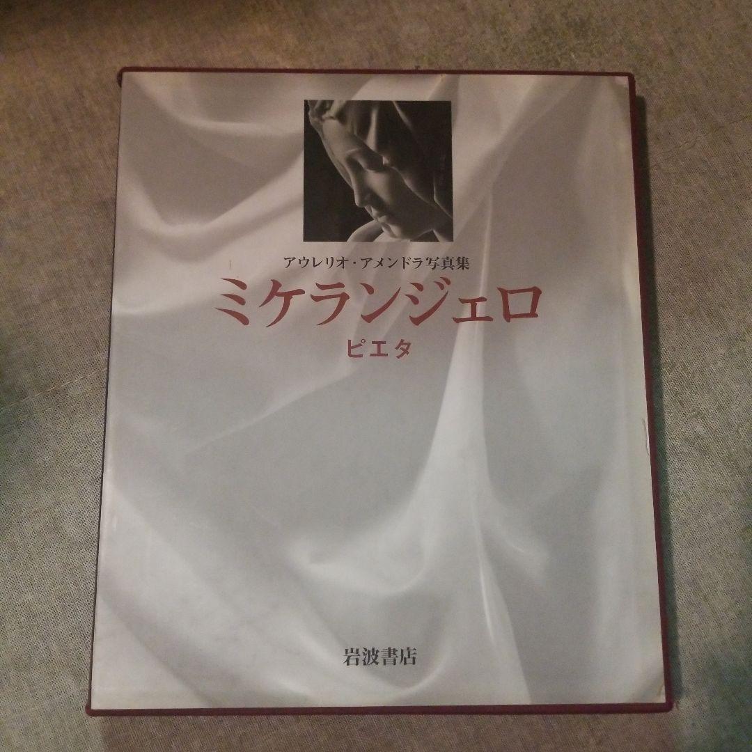 ミケランジェロ―ピエタ アウレリオ・アメンドラ写真集 アウレリオ・アメンドラ写真集 ミケランジェロ ピエタ／アウレリオ