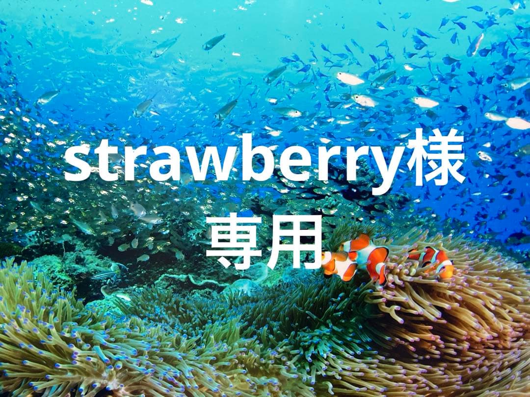 エンビロンCクエンスセラム4プラスクリームプラス Amazon.co.jp: エンビロン C－クエンスセラム4プラス C-Quence serum