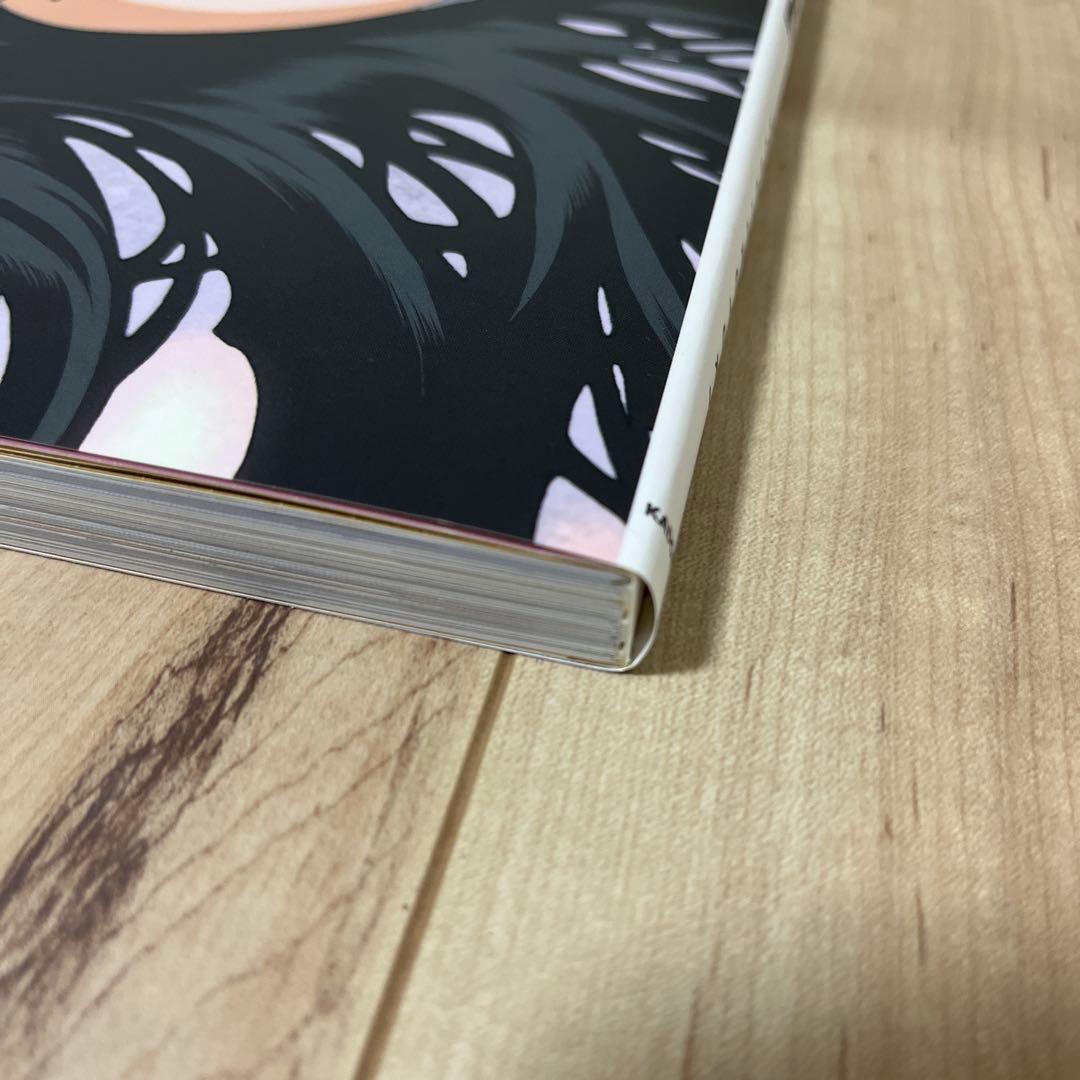 結城信輝画集 千紫萬紅