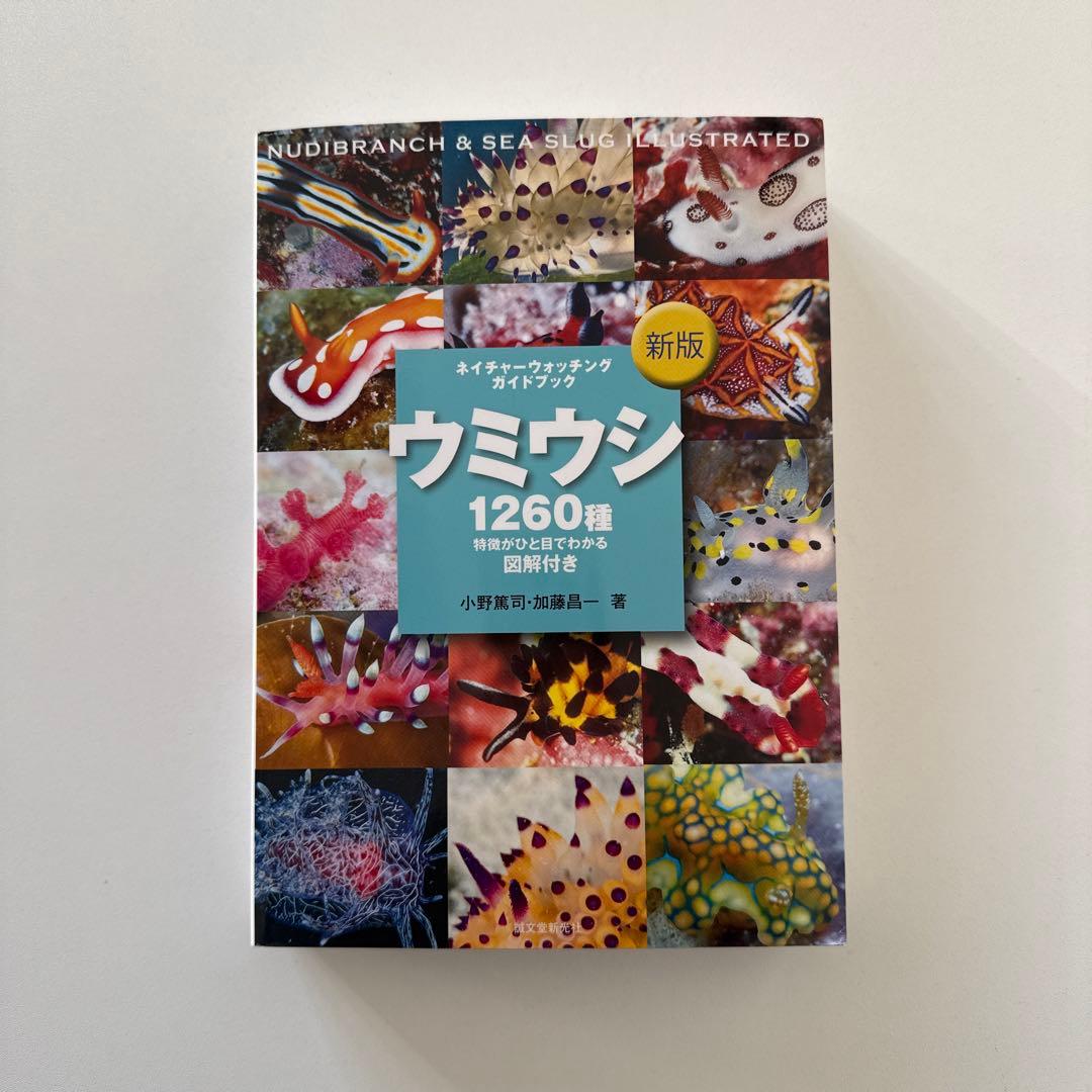 新版　ウミウシ 特徴がひと目でわかる図解付き 1260種 新版 ウミウシ (ネイチャーウォッチングガイドブック) | 篤司, 小野