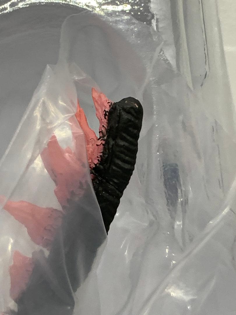 特撮 S.H.MonsterArts GODZILLA EVOLVED Ver.