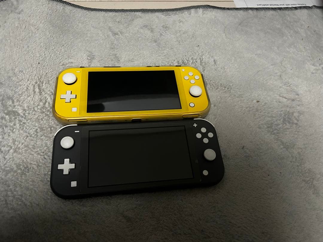 Nintendo Switch Lite 本体2台 + ケース Nintendo Switch Lite 本体ケース 画面保護フィルム 2点セット