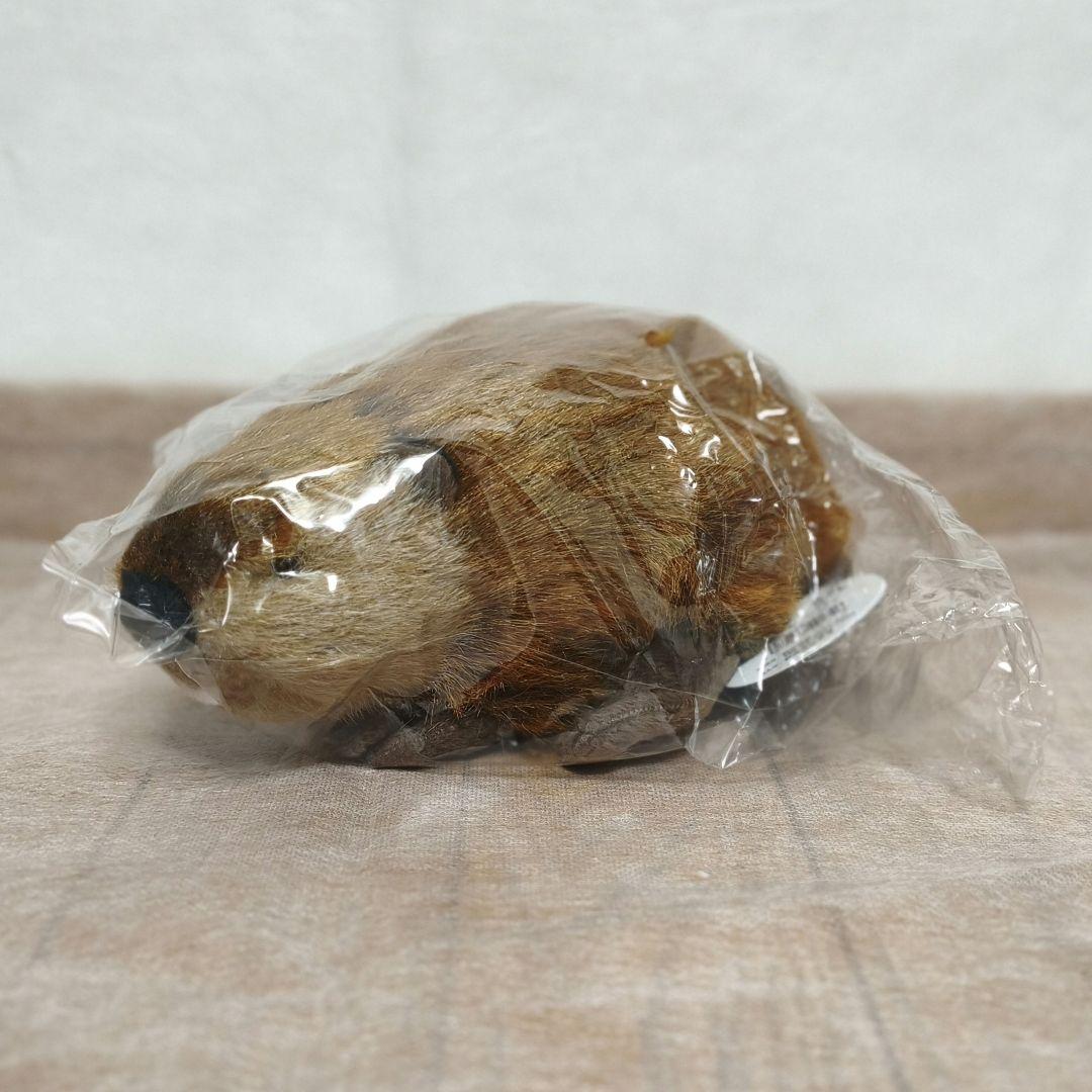 SUPER BEAVER スーパービーバーちゃん 吉徳 ぬいぐるみ Amazon.co.jp: SUPERBEAVER ぬいぐるみ 吉徳 スーパービーバーちゃん