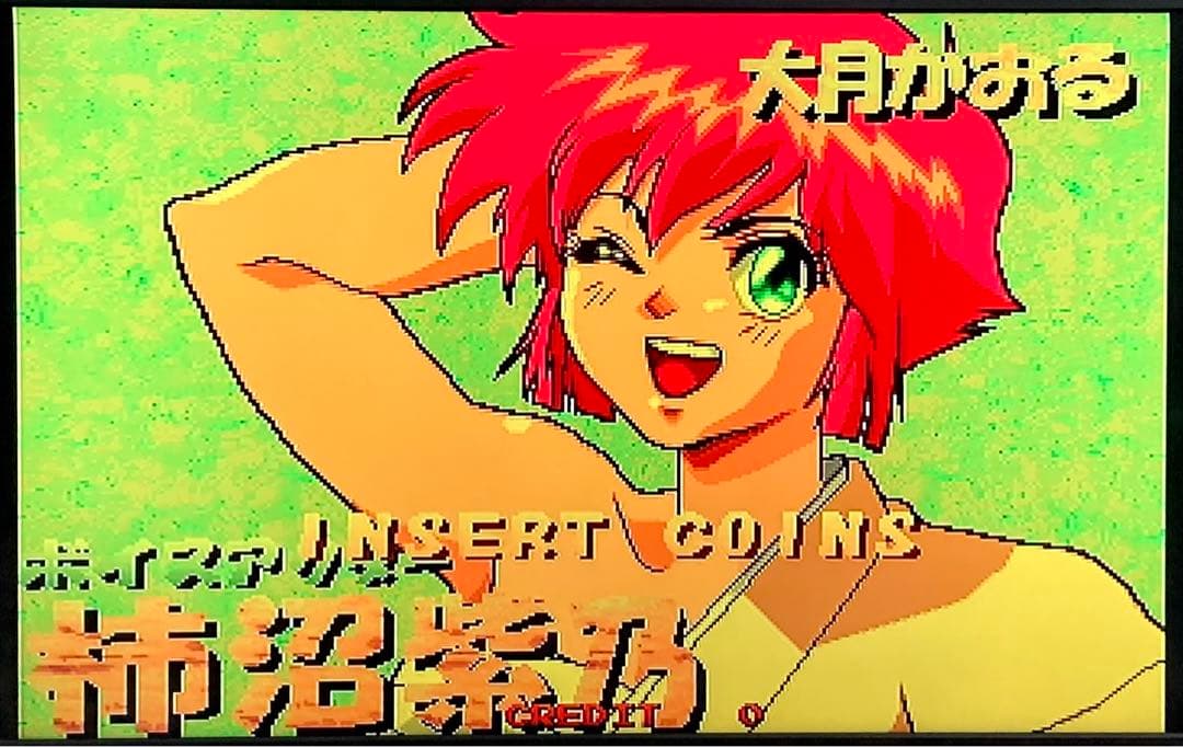 麻雀ハイパーリアクション 基板 ROMボード アーケードゲーム ゲーム