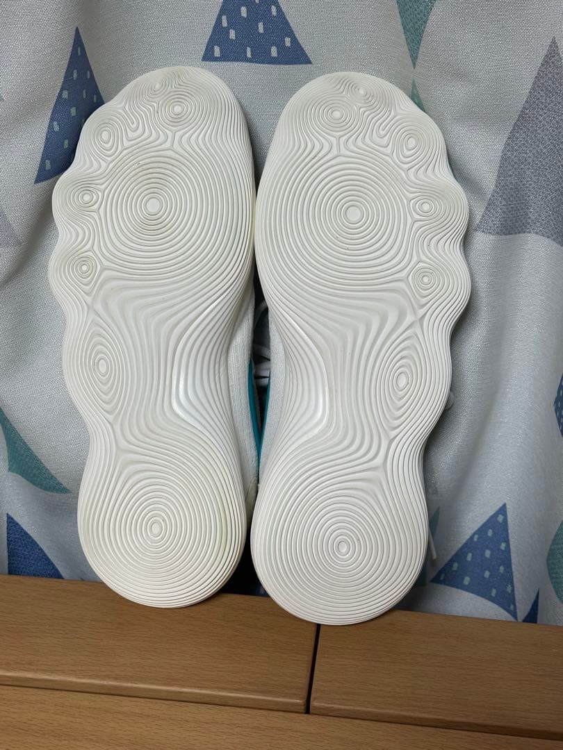 NIKE ハイパーダンク2017 28.5cm