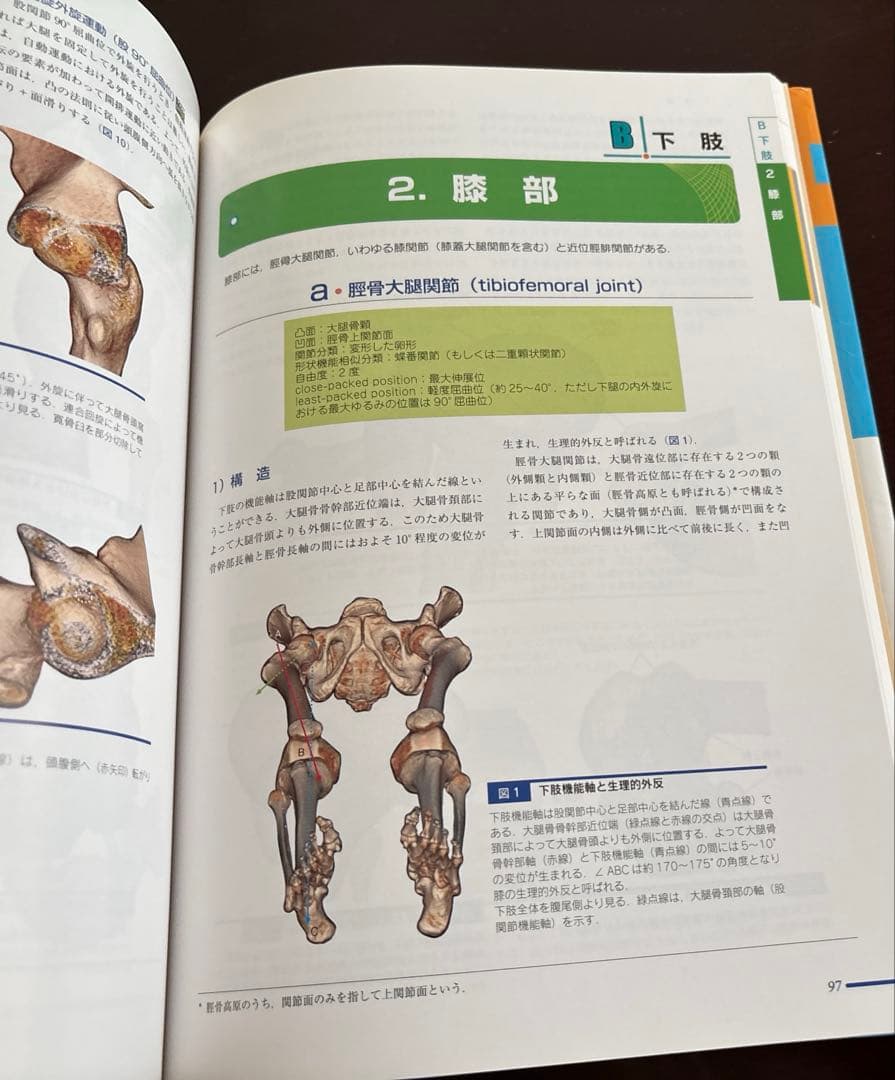 関節内運動学 : 4D-CTで解き明かす　DVD付き