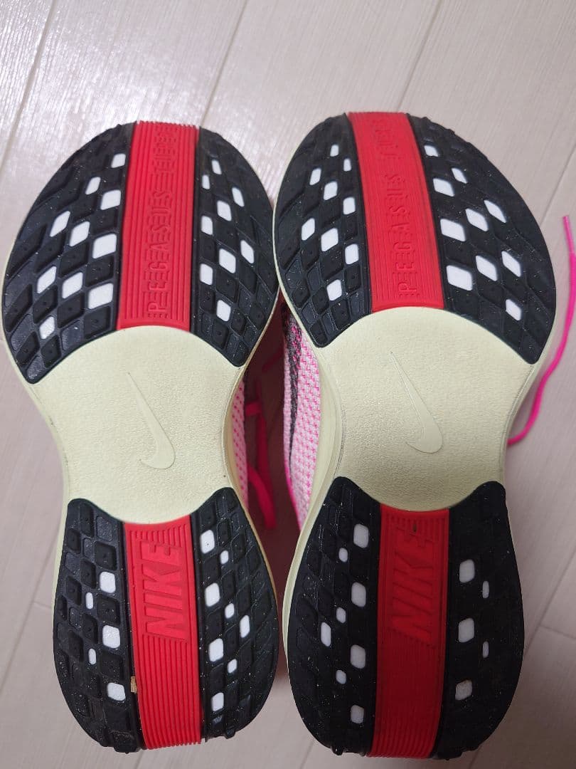 NIKE　ランニングシューズ ペガサス プラス 25.0cm