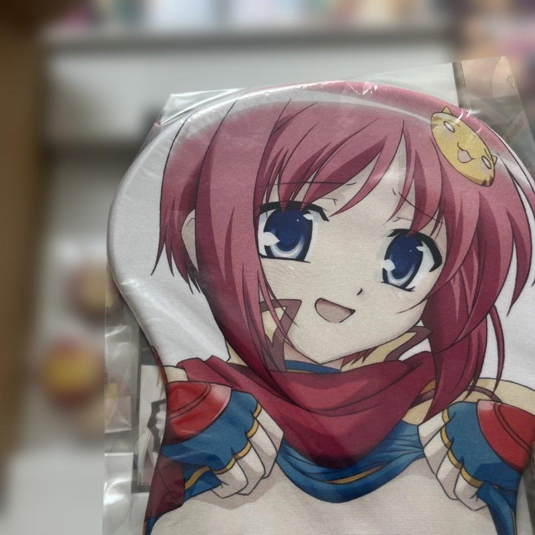 恋姫 無双 + 真+ 乙女大乱 　DVD 全21巻 限定版セット